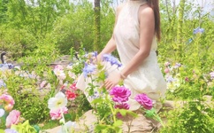 姑娘大声唱简谱